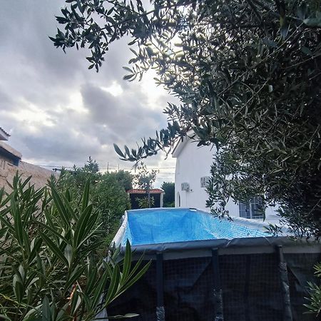 Villa New Olivka House à Anavyssos Extérieur photo
